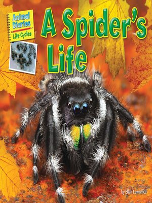 cover image of A Spider's Life
